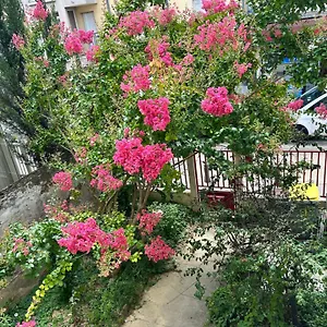 F3 Au Grenier D'une Maison Appartement